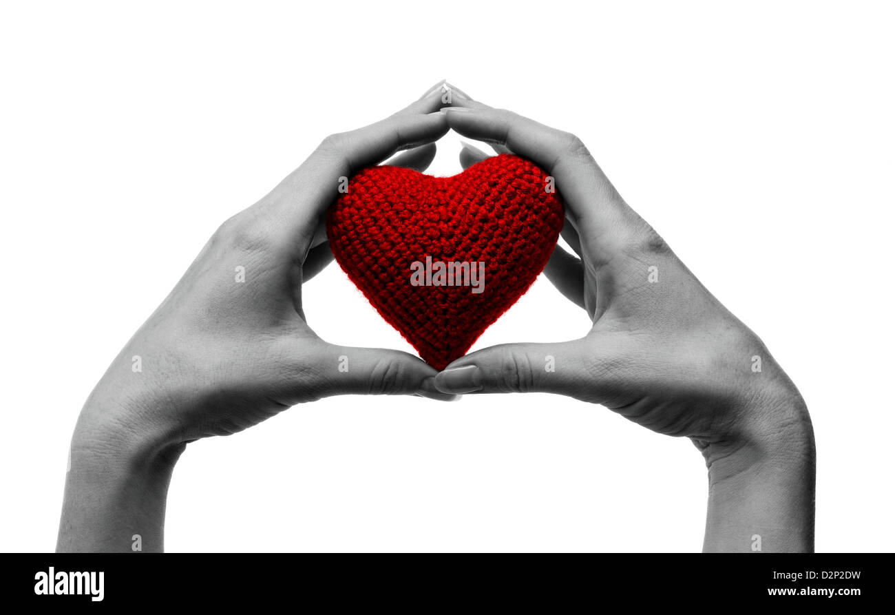 Red heart in the hands. Isolated on white background Stock Photo - Alamy