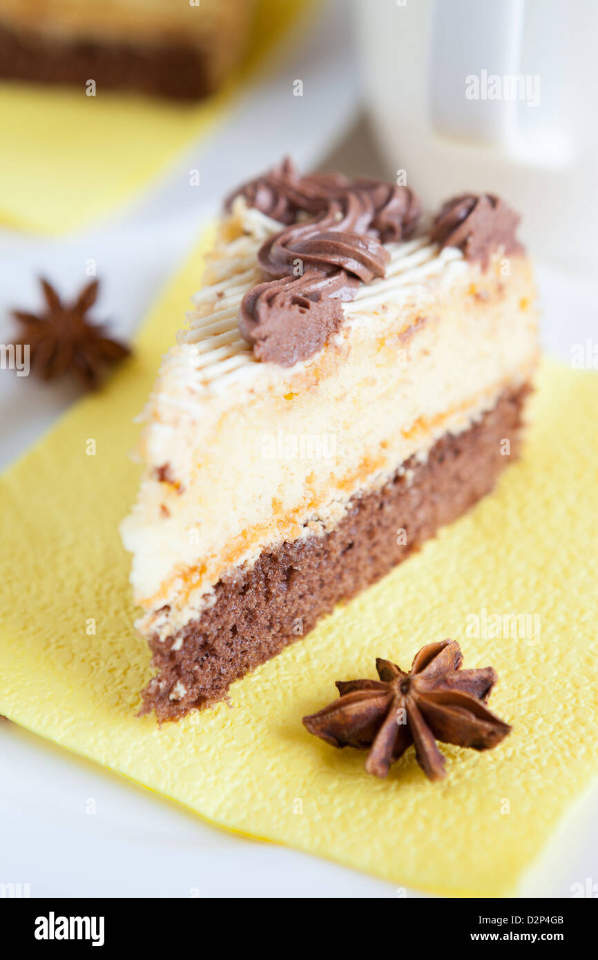 piece biscuit cake with butter cream, closeup Stock Photo - Alamy
