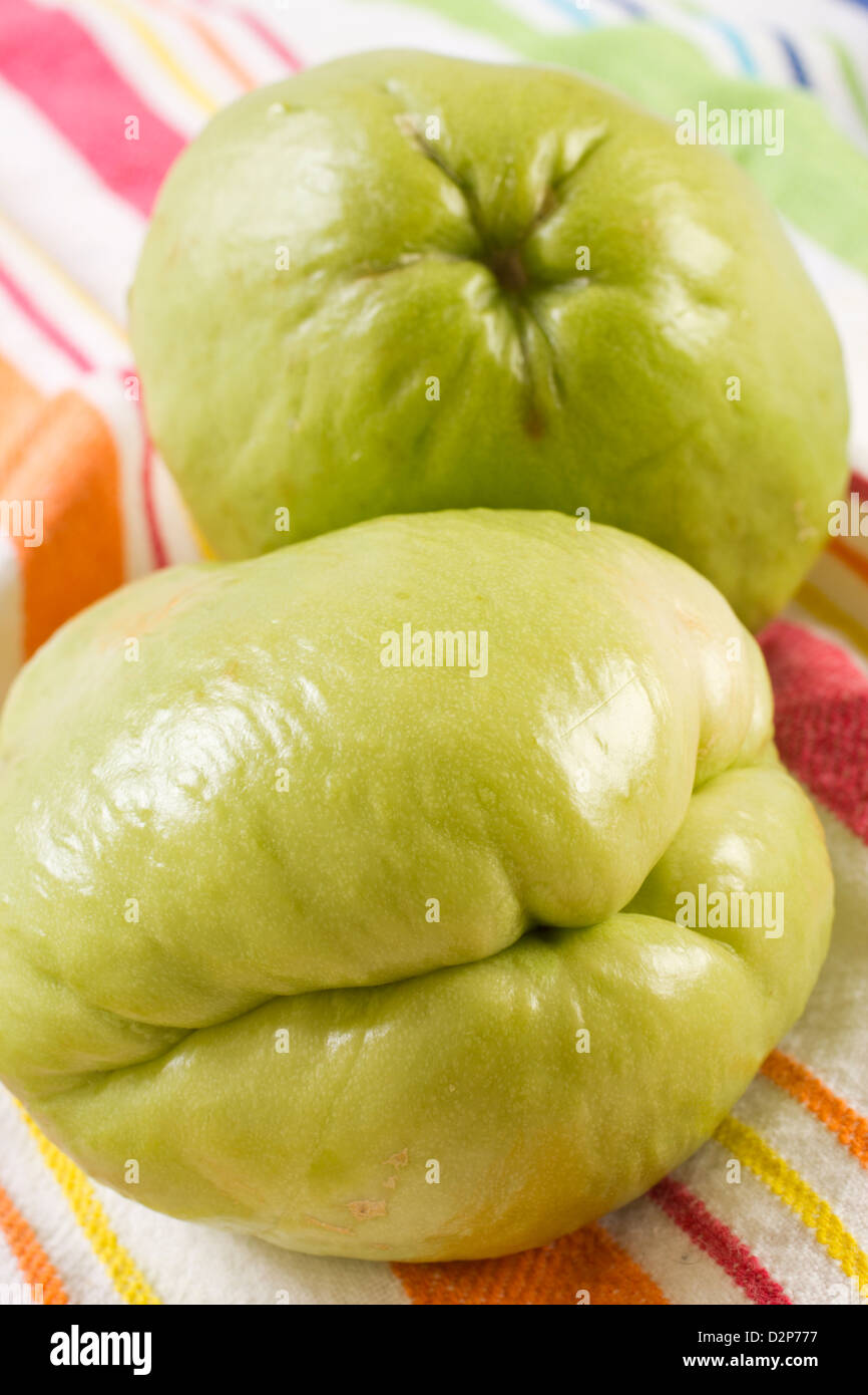 Chayote, a tropical fruit Stock Photo