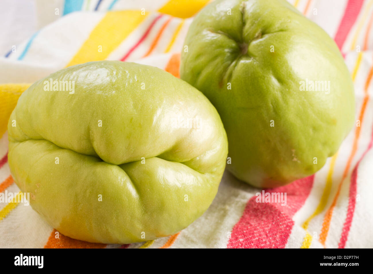 Chayote, a tropical fruit Stock Photo