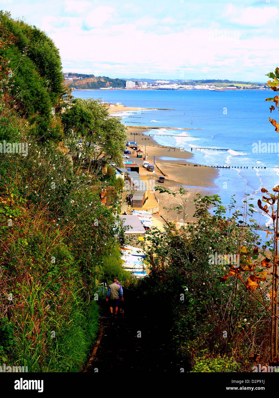 Coast path, Shanklin, Isle of Wight Stock Photo Alamy