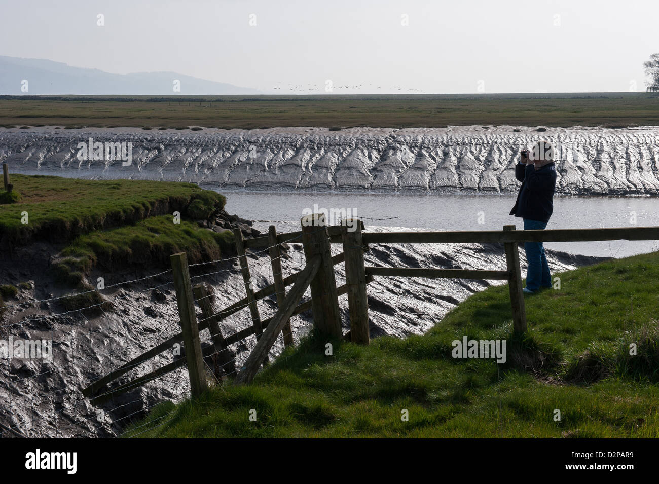 Birdwatcher beside the mud flats at Wigtown Nature Reserve, Galloway, Scotland Stock Photo