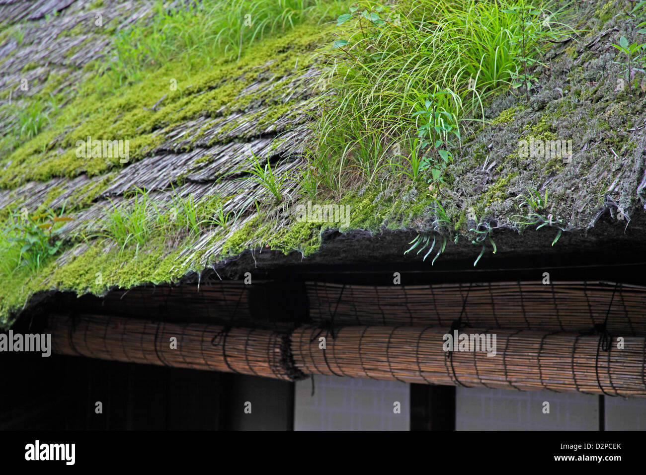 A thatched roof of old traditional wooden house in Mitake-san mountain ...