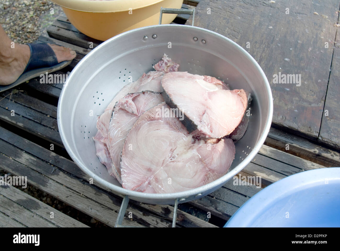 White Meat Tuna Albacore fish being prepared Stock Photo