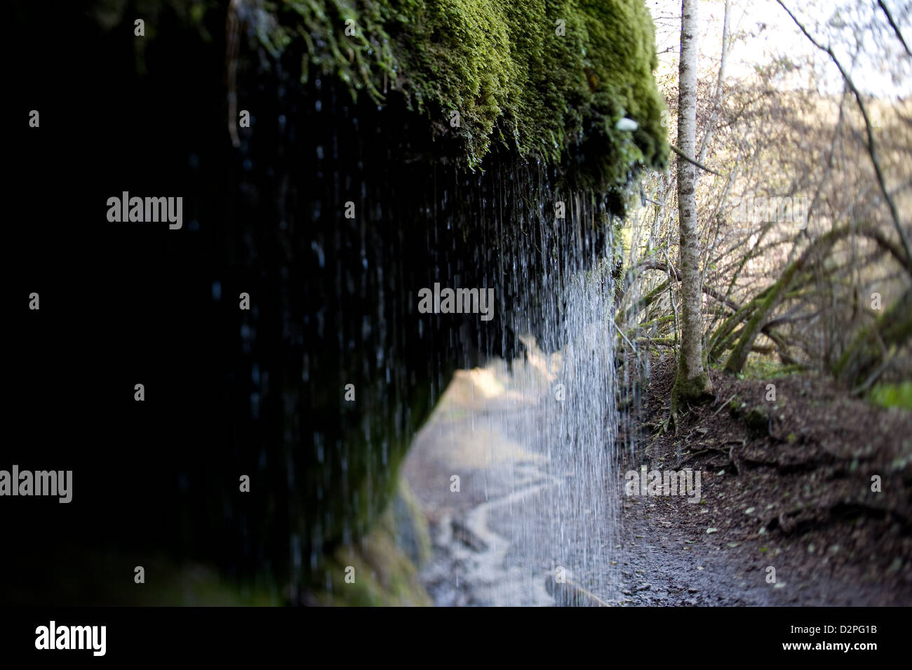 Bonndorf, Germany, water trickling over mossy rocks in the Wutachschlucht Stock Photo