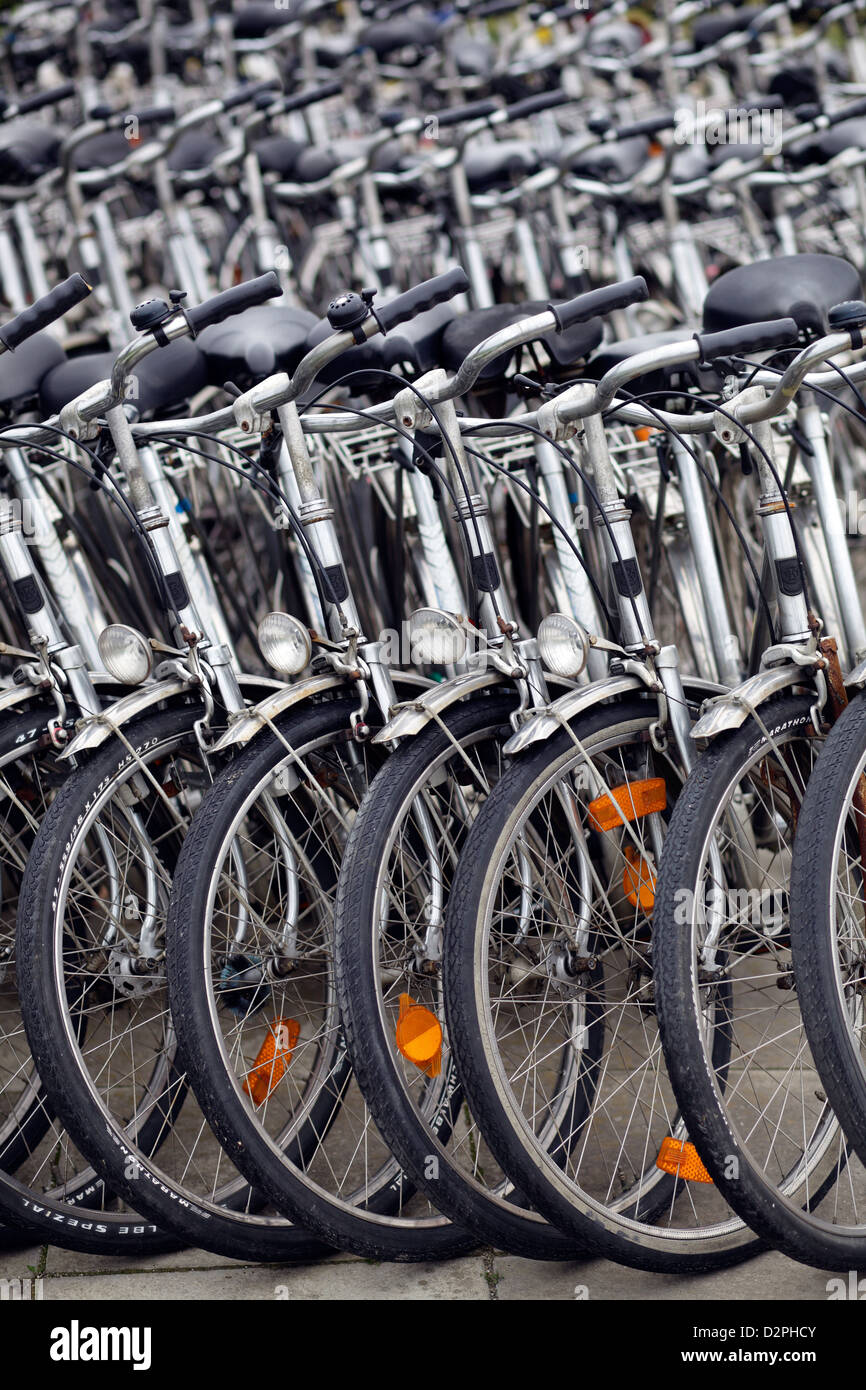 Hallig Hooge, Germany, bicycles a bicycle rental Stock Photo Alamy