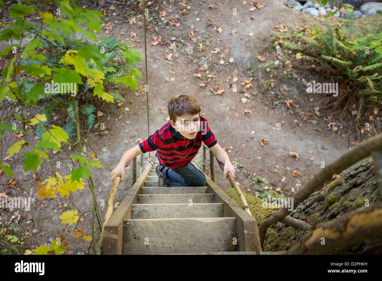 Caucasian boy climbing ladder to tree house Stock Photo