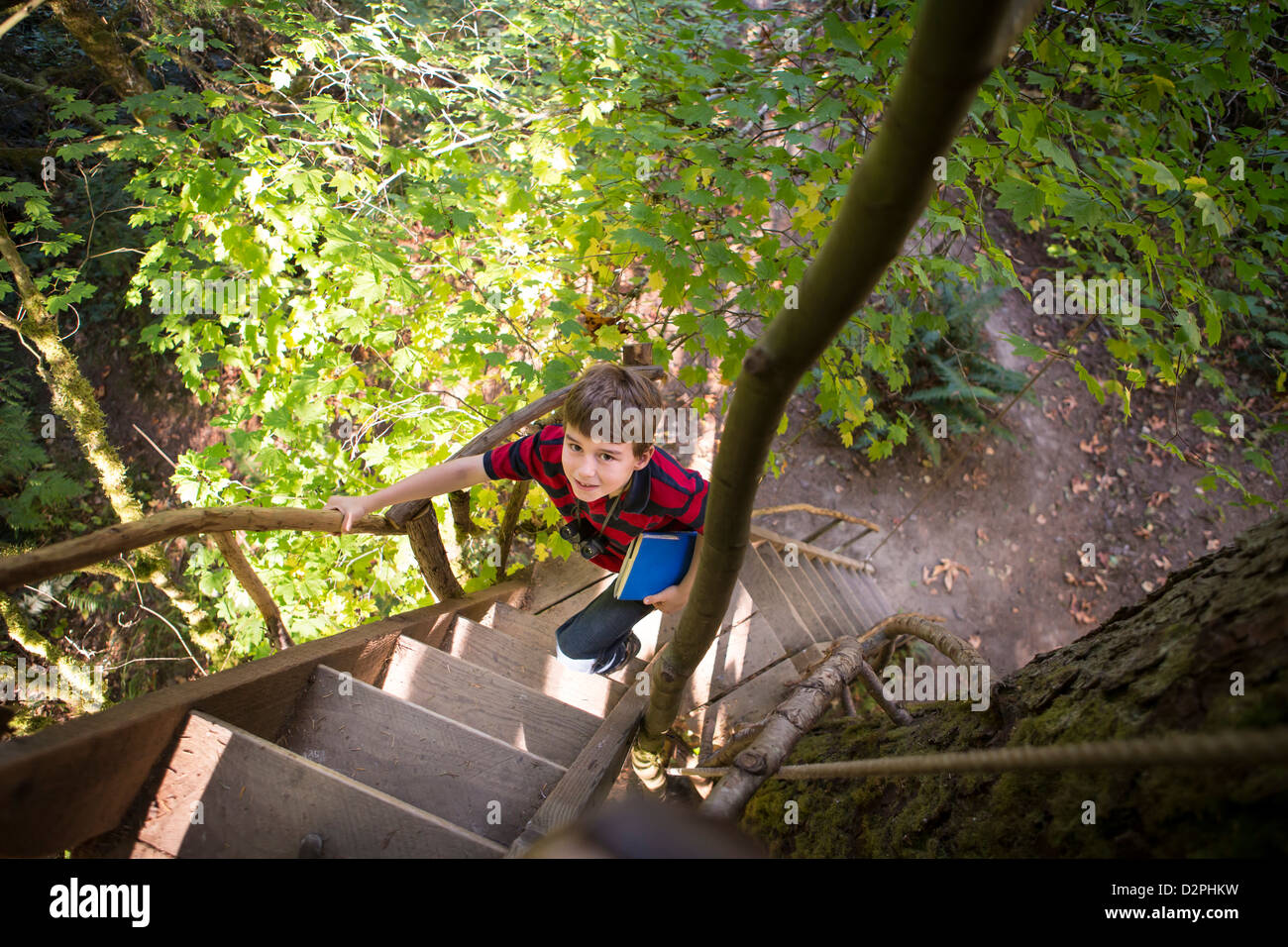 Caucasian boy climbing ladder to tree house Stock Photo