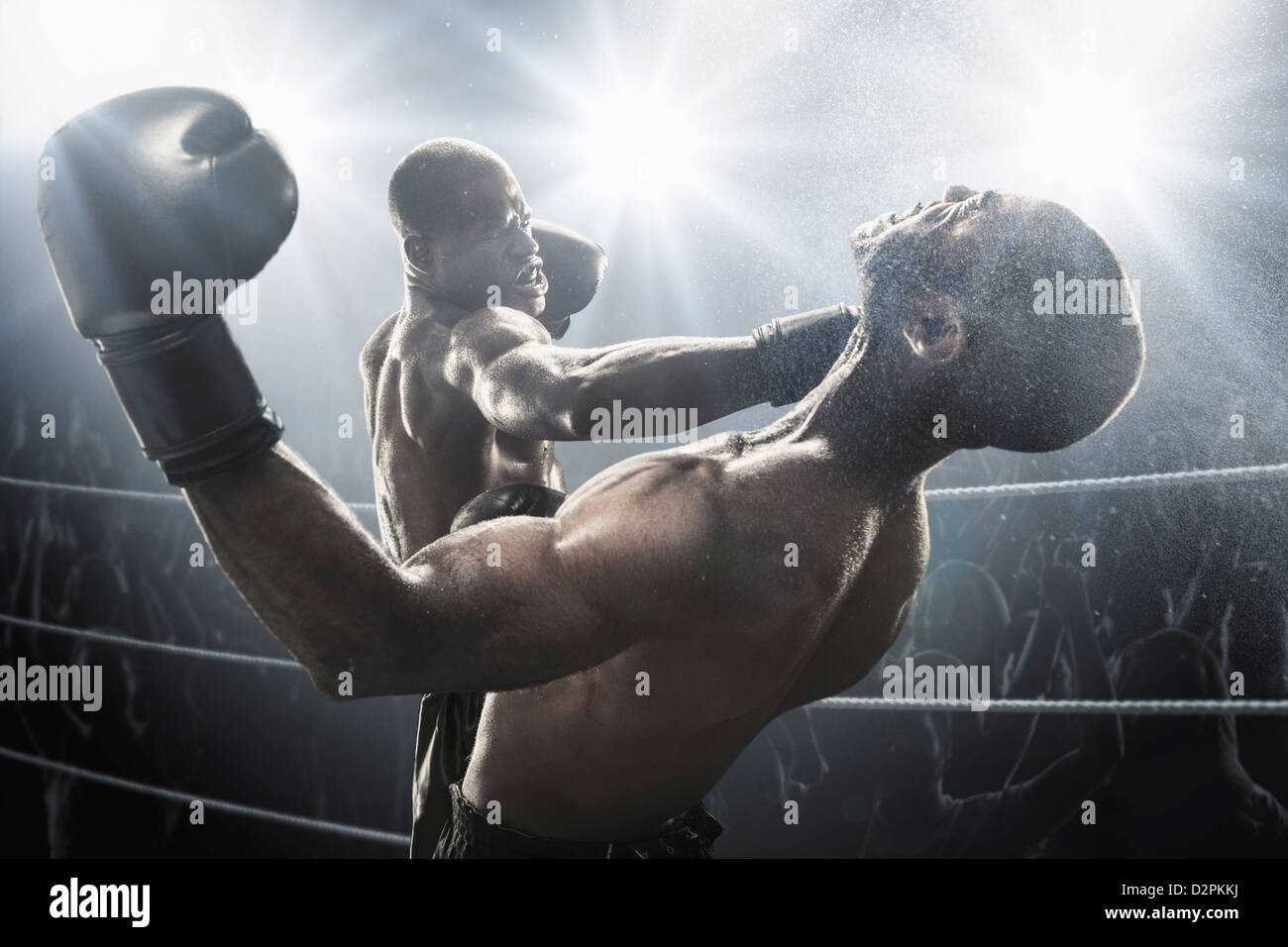 African American boxer hitting opponent in boxing ring Stock Photo Alamy