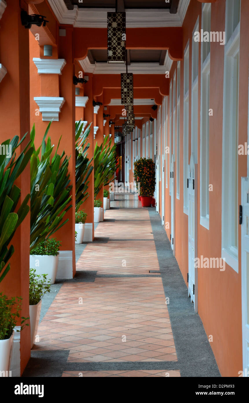 Plants Corridor Stock Photos & Plants Corridor Stock Images Alamy