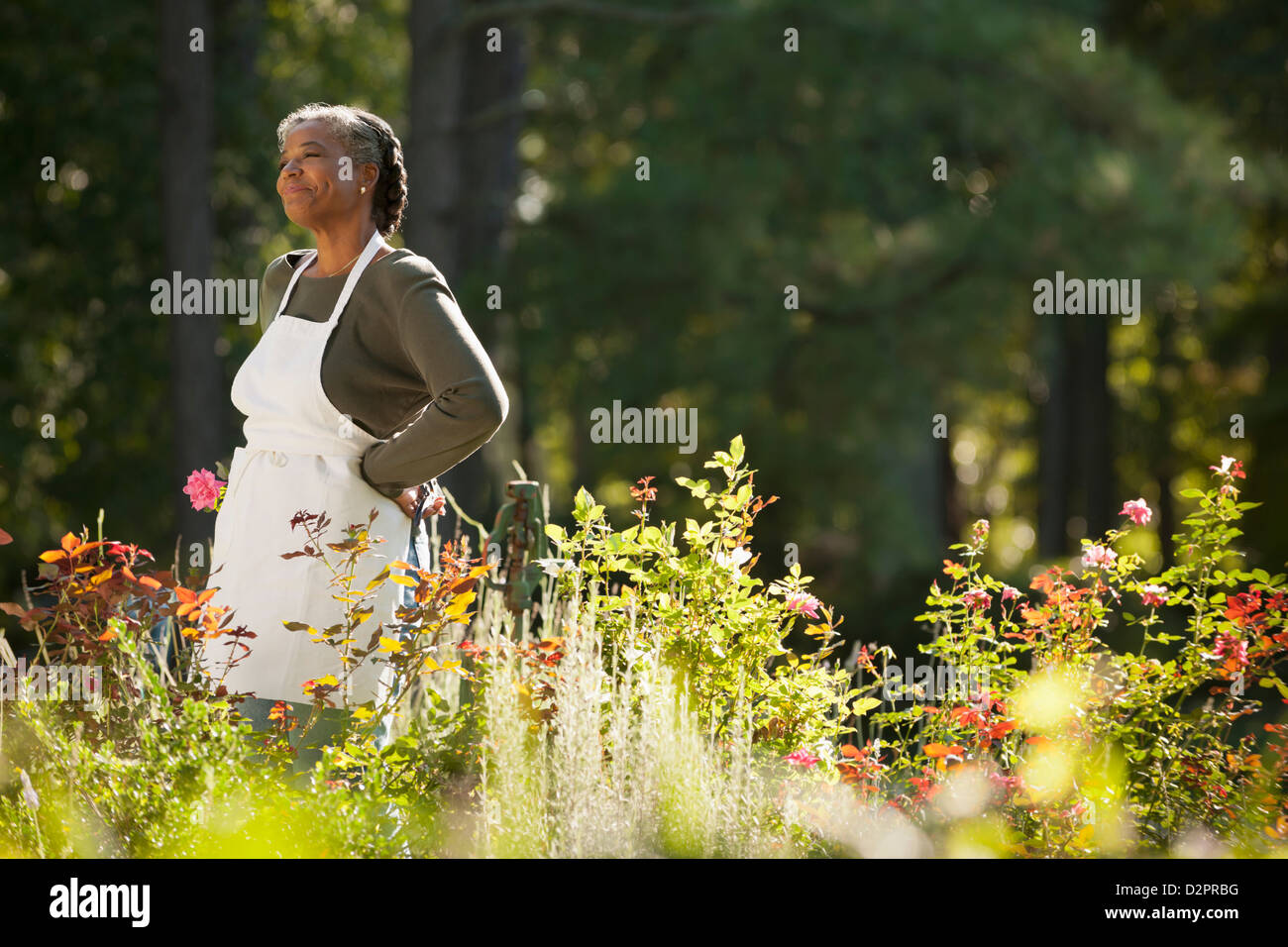 Mixed race woman wearing apron in field Stock Photo