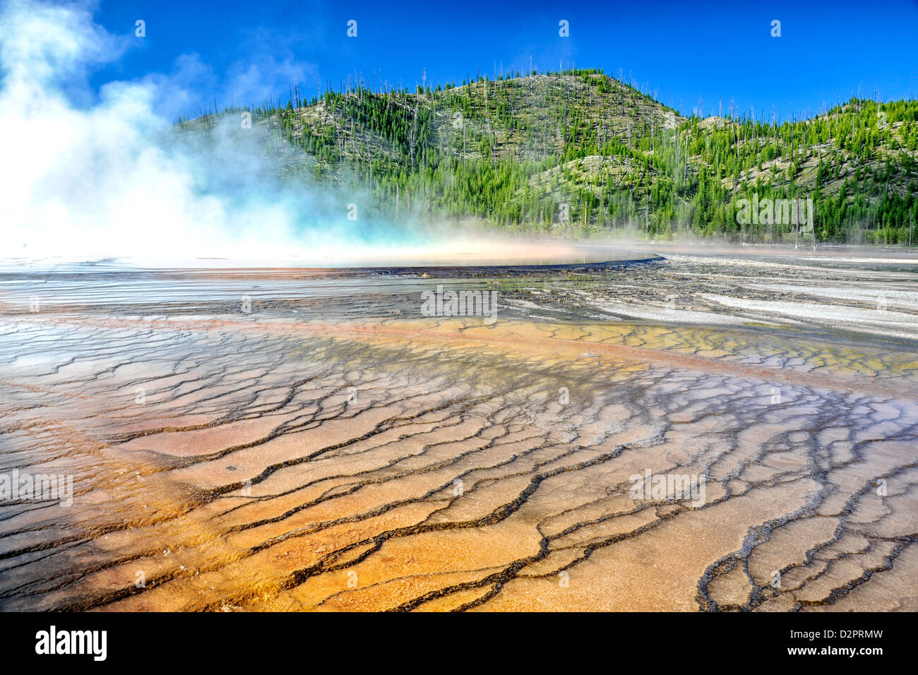 Grand Prismatic Spring thermal feature in Midway Geyser Basic Yellowstone National Park Stock Photo