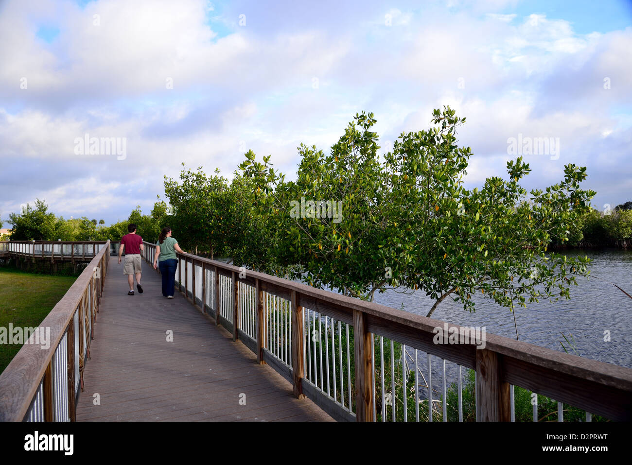 A couple stroll on a board walk along mangrove coast. The Everglades National Park, Florida, USA. Stock Photo