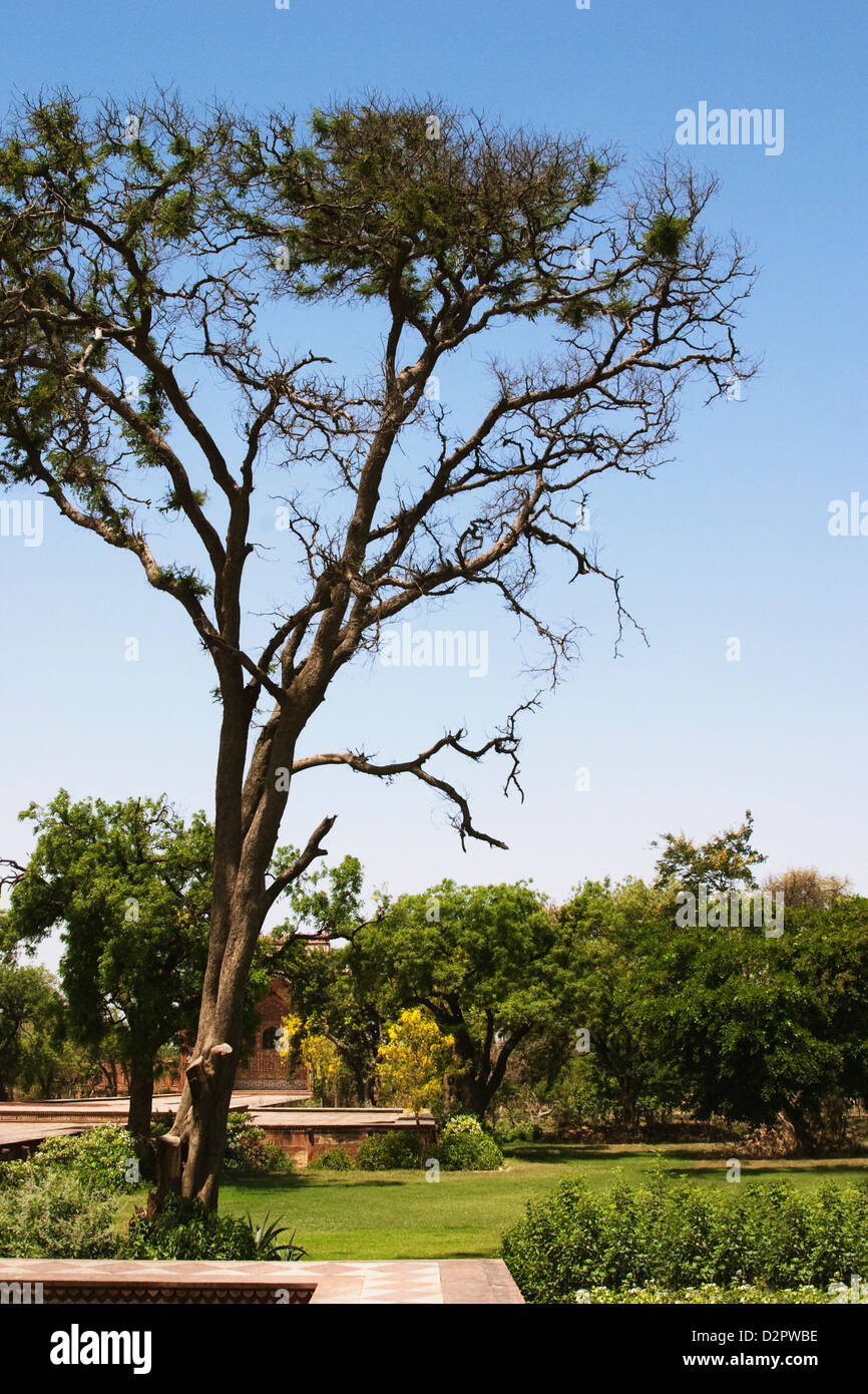 Garden area of a mausoleum, Tomb Of Akbar The Great, Sikandra, Agra, Uttar Pradesh, India Stock Photo