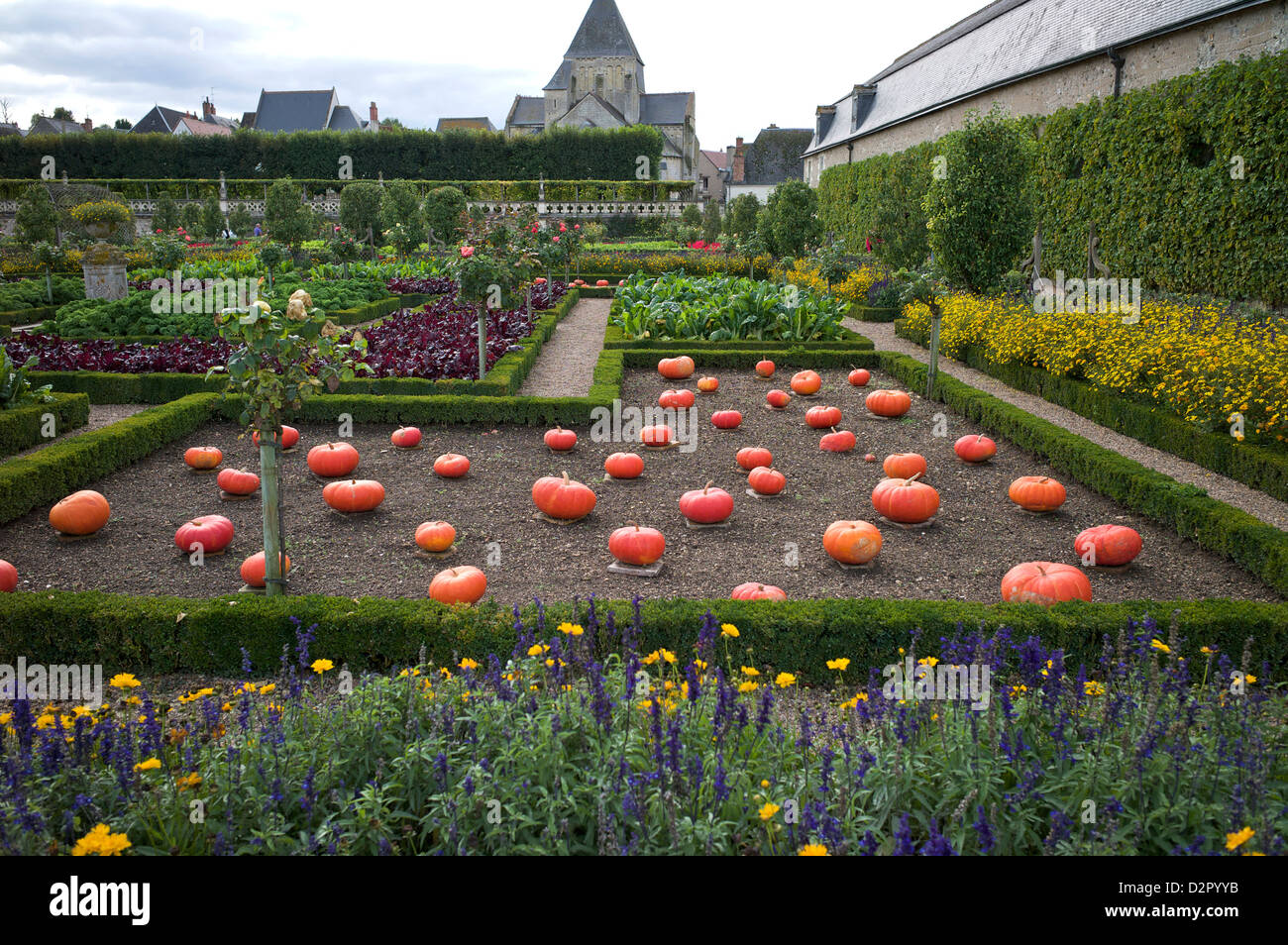 Vegetable garden, Chateau de Villandry, UNESCO World Heritage Site, Indre-et-Loire, Touraine, Loire Valley, France, Europe Stock Photo