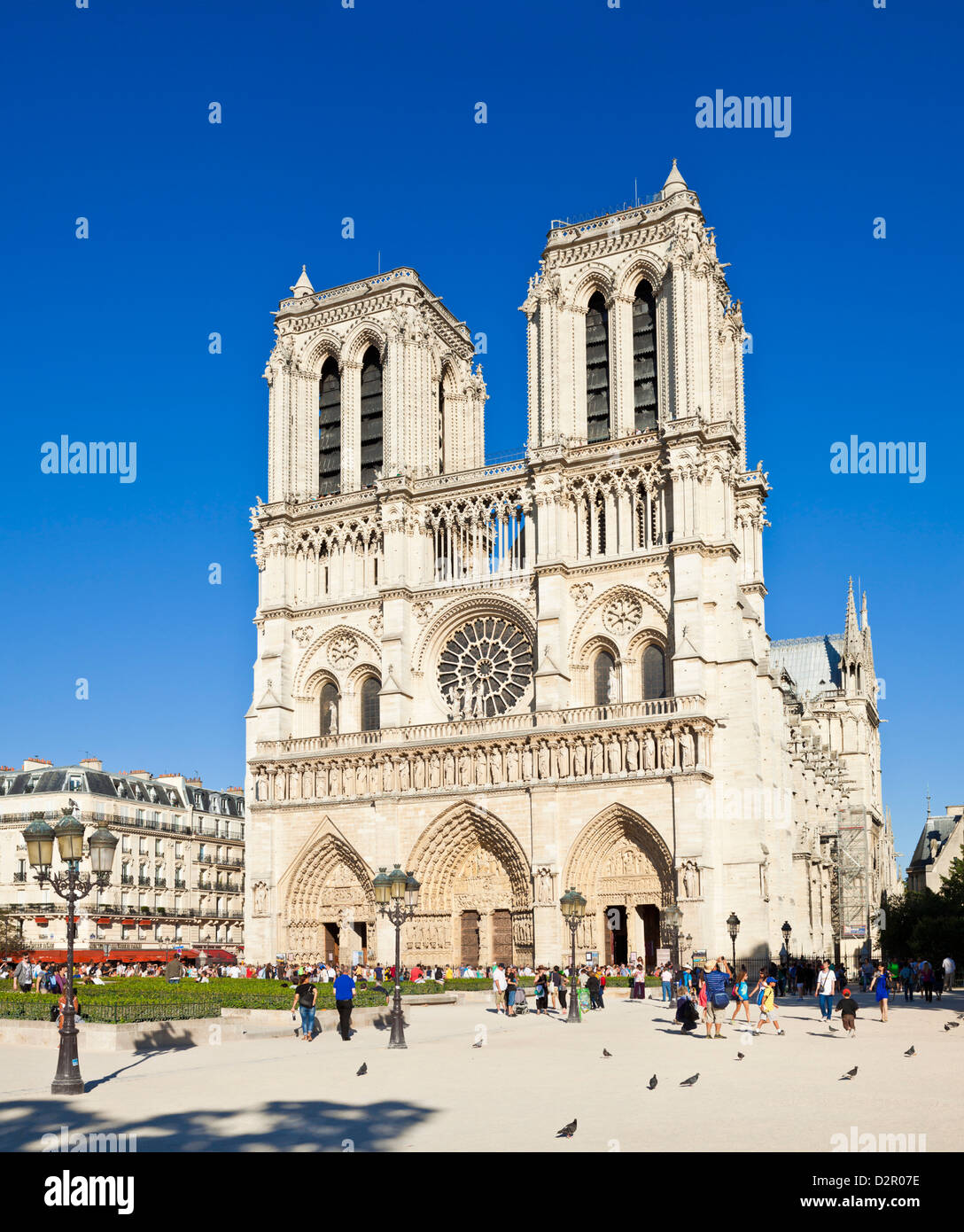 Front facade of the Cathedral of Notre Dame, Ile de la Cite, Paris, France, Europe Stock Photo