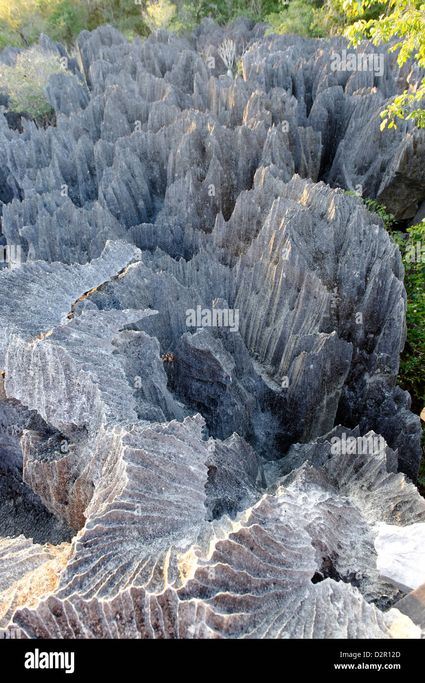 Tsingy de Bemaraha Strict Nature Reserve, near the western coast in Melaky Region, Madagascar Stock Photo