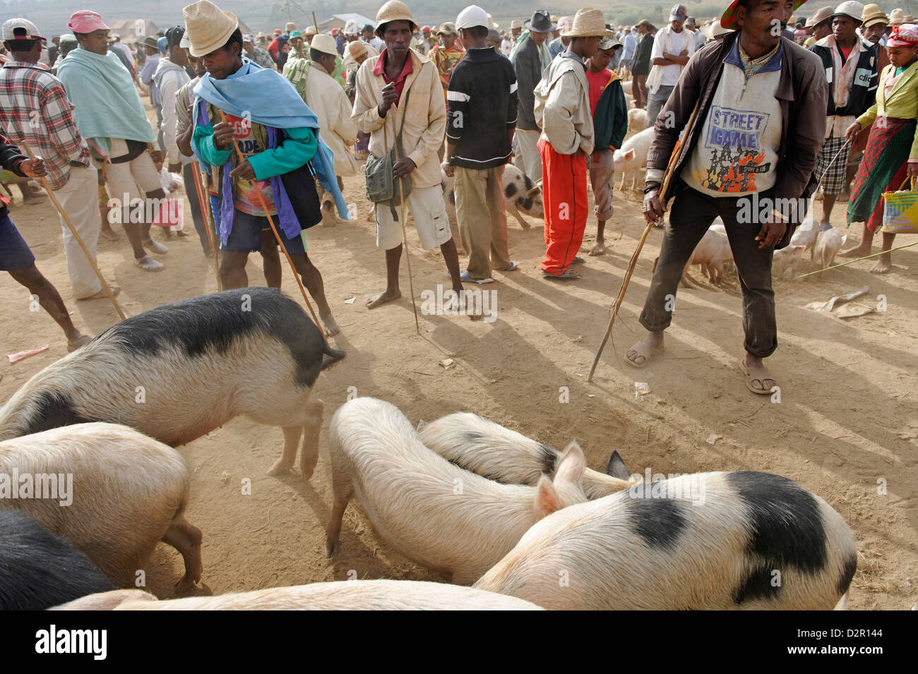 Friday market in the Betsileo country, around Fianarantsoa, Madagascar, Africa Stock Photo