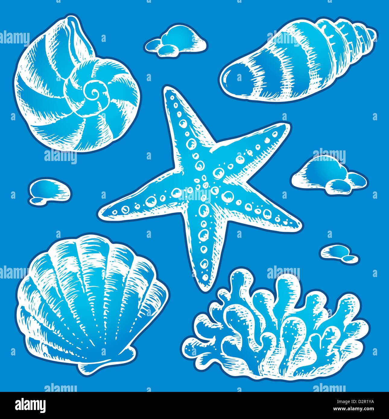 Sea shells drawings 2 - picture illustration Stock Photo - Alamy