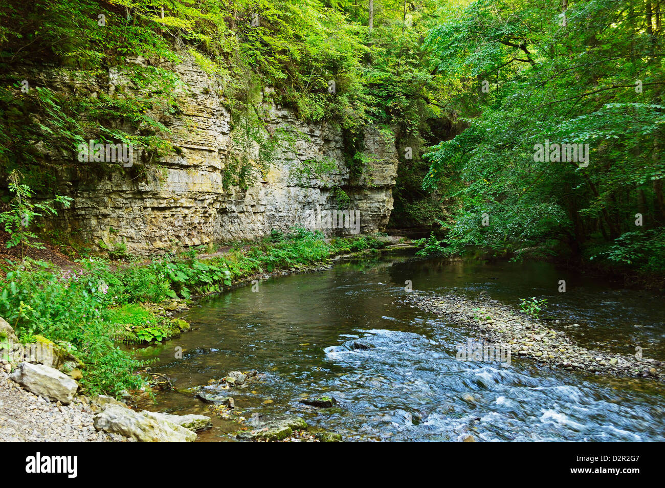 Wutach Gorge Black Forest Badenwrttemberg Germany