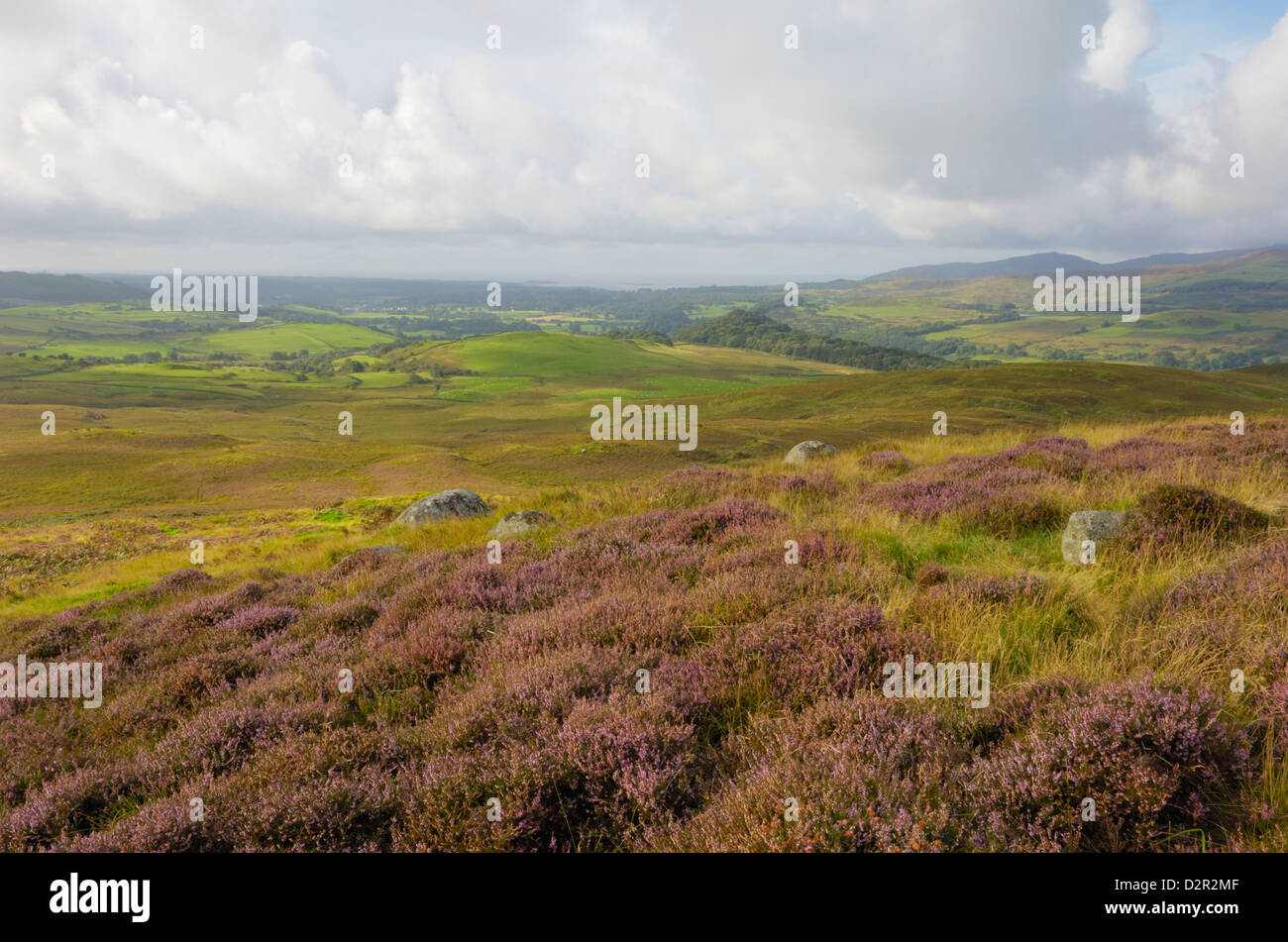 Fleet Valley from Castramont Hill, Dumfries and Galloway, Scotland, United Kingdom, Europe Stock Photo