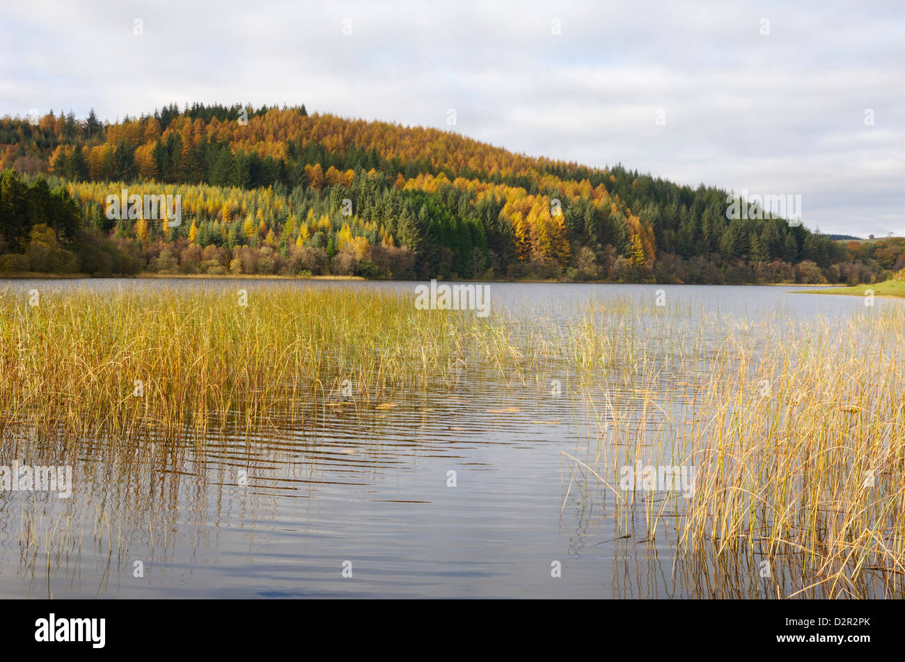 Dumfries Galloway High Resolution Stock Photography and Images Alamy