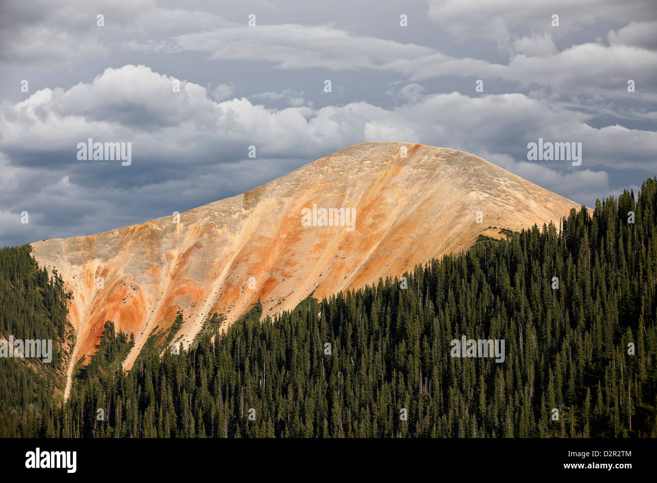 Bear Mountain, San Juan National Forest, Colorado, United States of America, North America Stock Photo