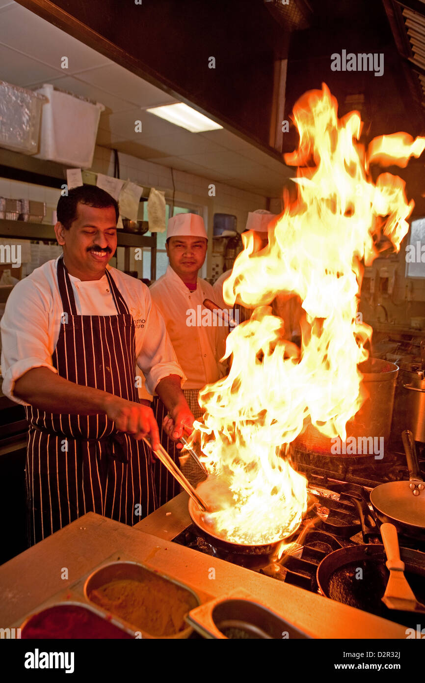 Cinnamon chef cooking Indian food in a restaurant Stock Photo Alamy