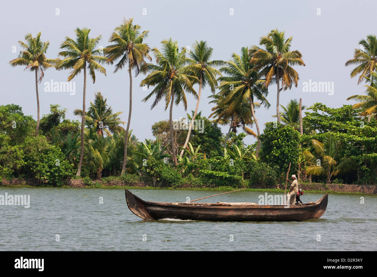 Fisherman in traditional boat on the Kerala Backwaters, Kerala, India, Asia Stock Photo