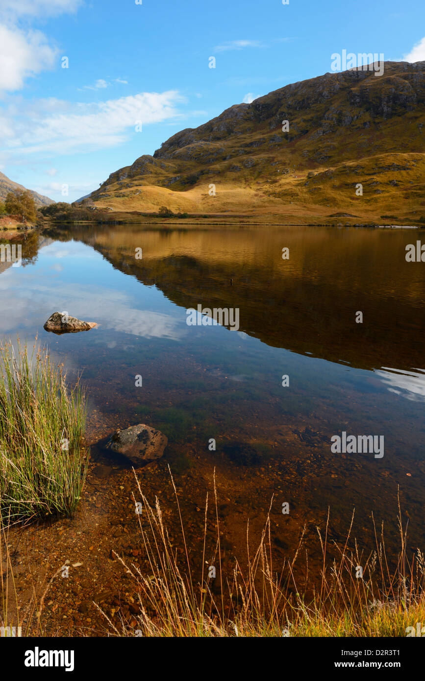 Reflection of autumn colours, Loch Eilt, Highlands, Scotland, United Kingdom, Europe Stock Photo