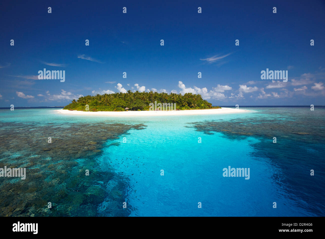 Tropical island and lagoon, Maldives, Indian Ocean, Asia Stock Photo