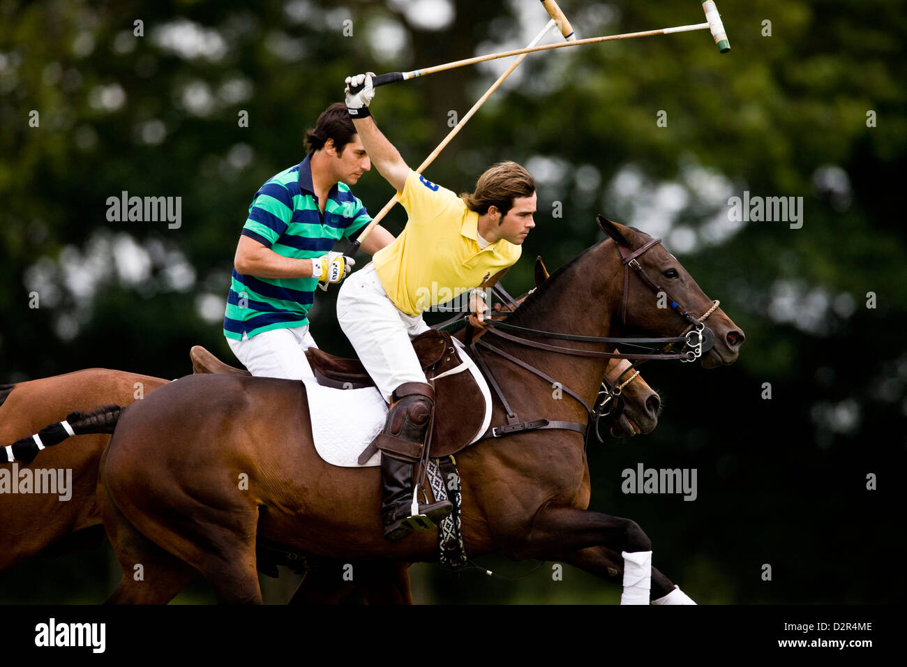 Polo player holding reins and hitting the ball on horseback Stock Photo