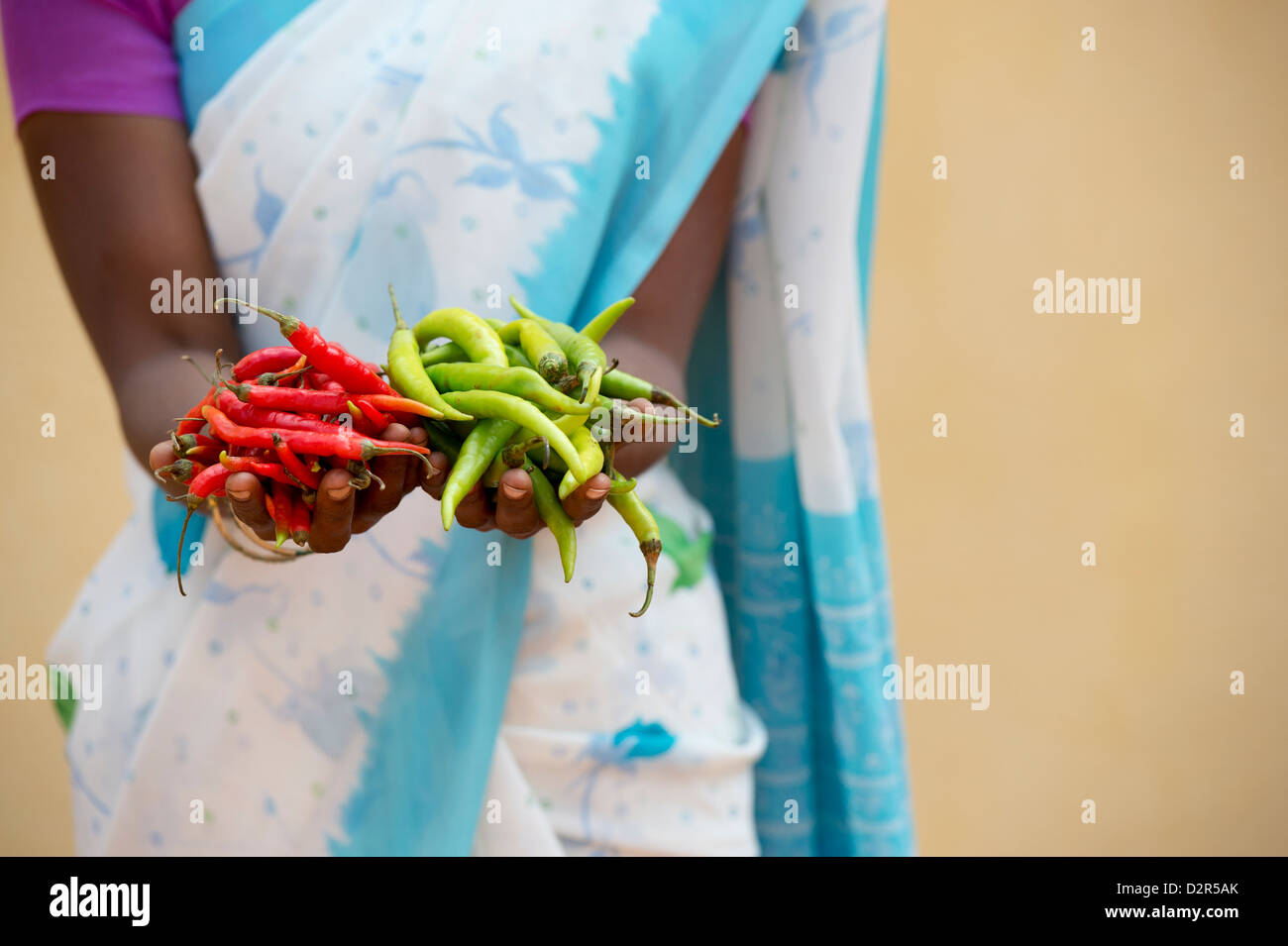 Rural Indian village woman holding fresh green and red chilies in her hands. Andhra Pradesh, India Stock Photo