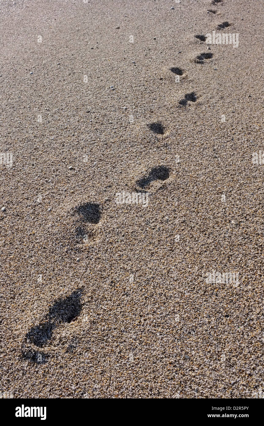 Footsteps in sand Stock Photo