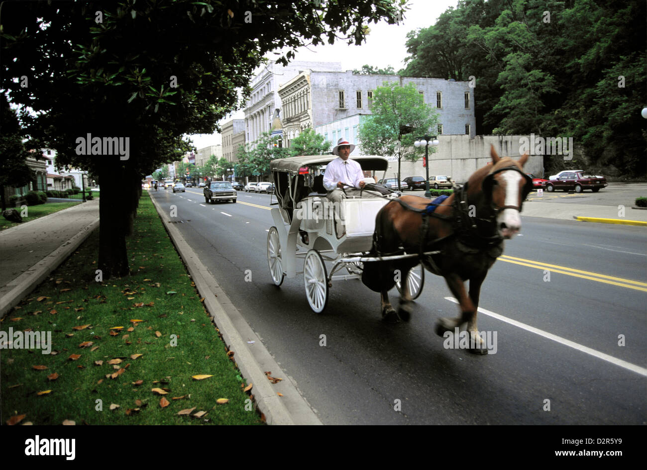 Horsedrawn carriage on Central Avenue, Hot Springs, Arkansas Stock Photo Alamy