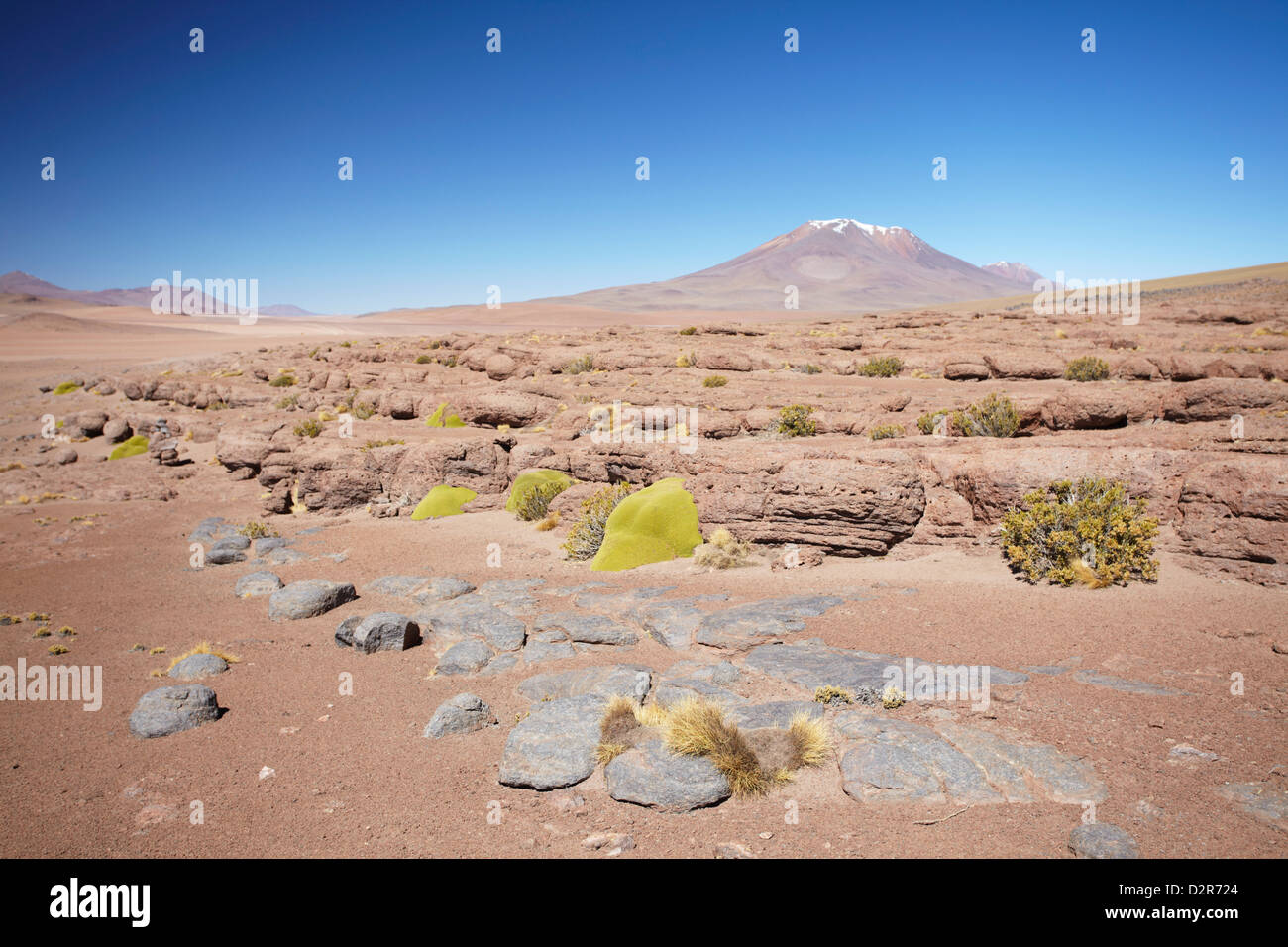 Landscape of Altiplano, Potosi Department, Bolivia, South America Stock Photo
