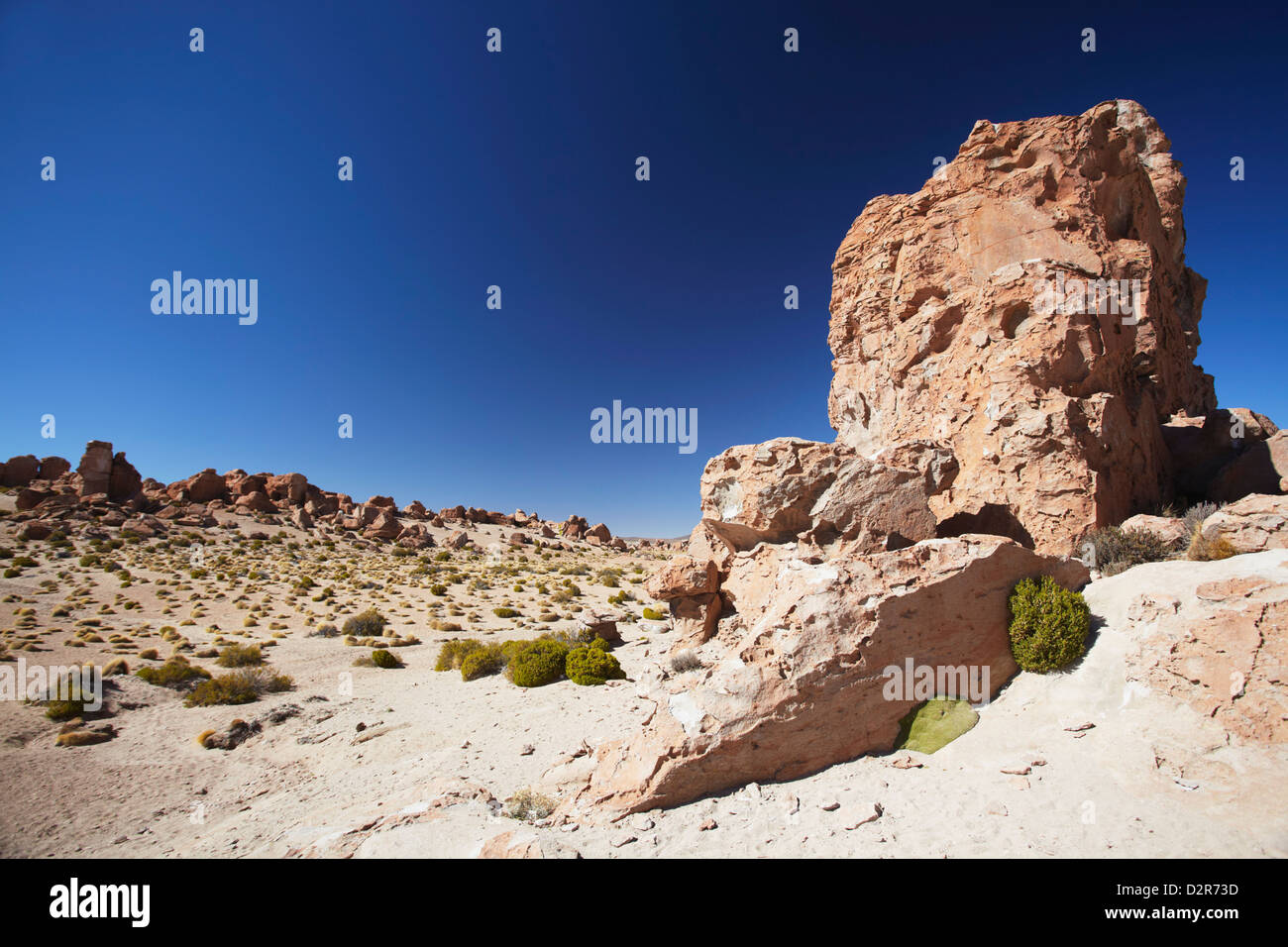 Rocky landscape on the Altiplano, Potosi Department, Bolivia, South America Stock Photo