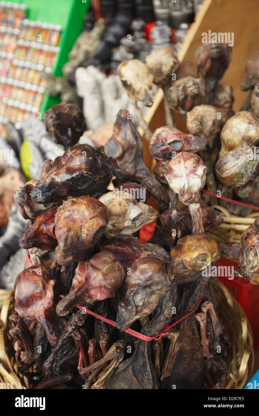 Dried llama foetuses in Witches' Market, La Paz, Bolivia, South America Stock Photo