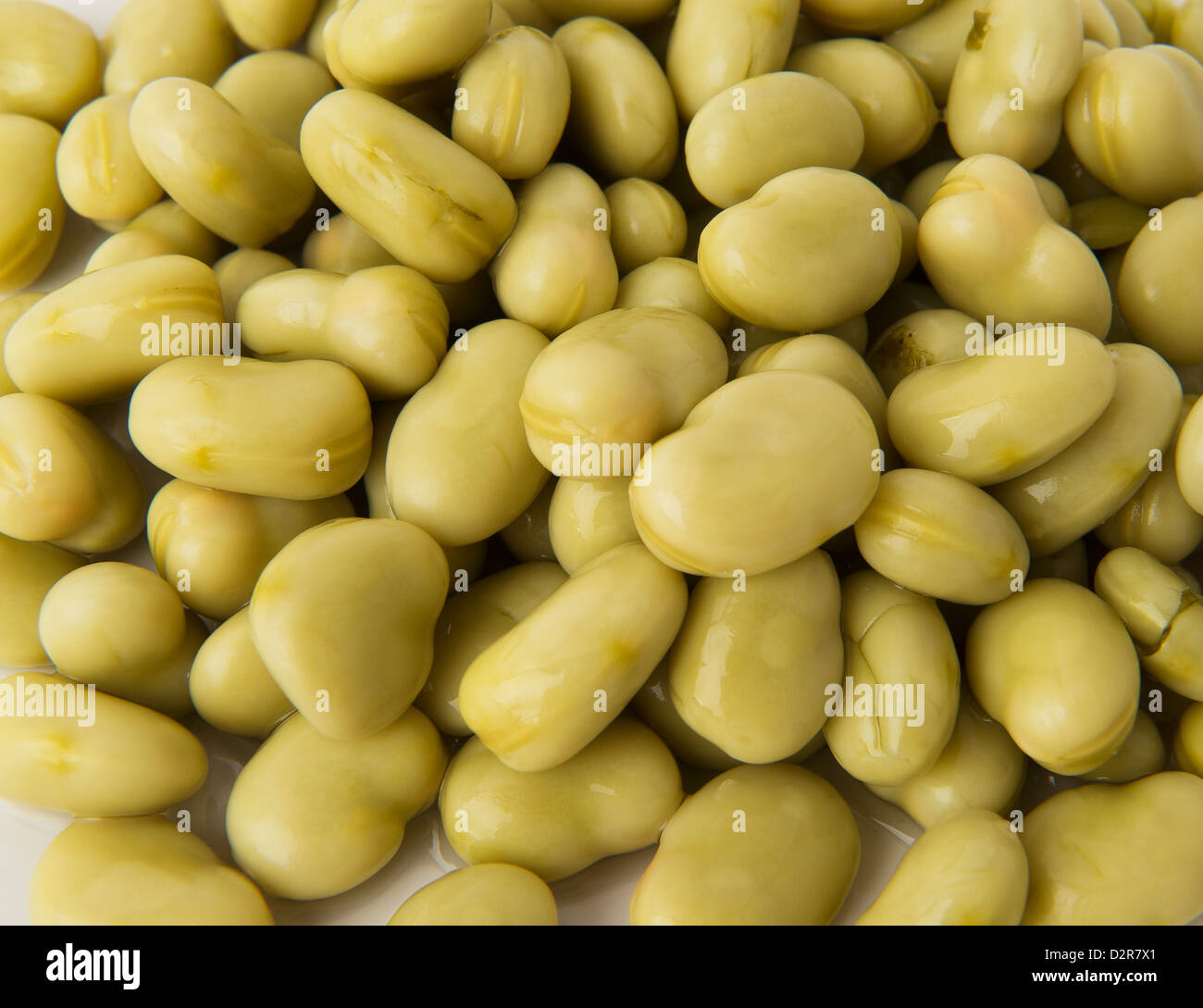 "broad beans Stock Photo Alamy