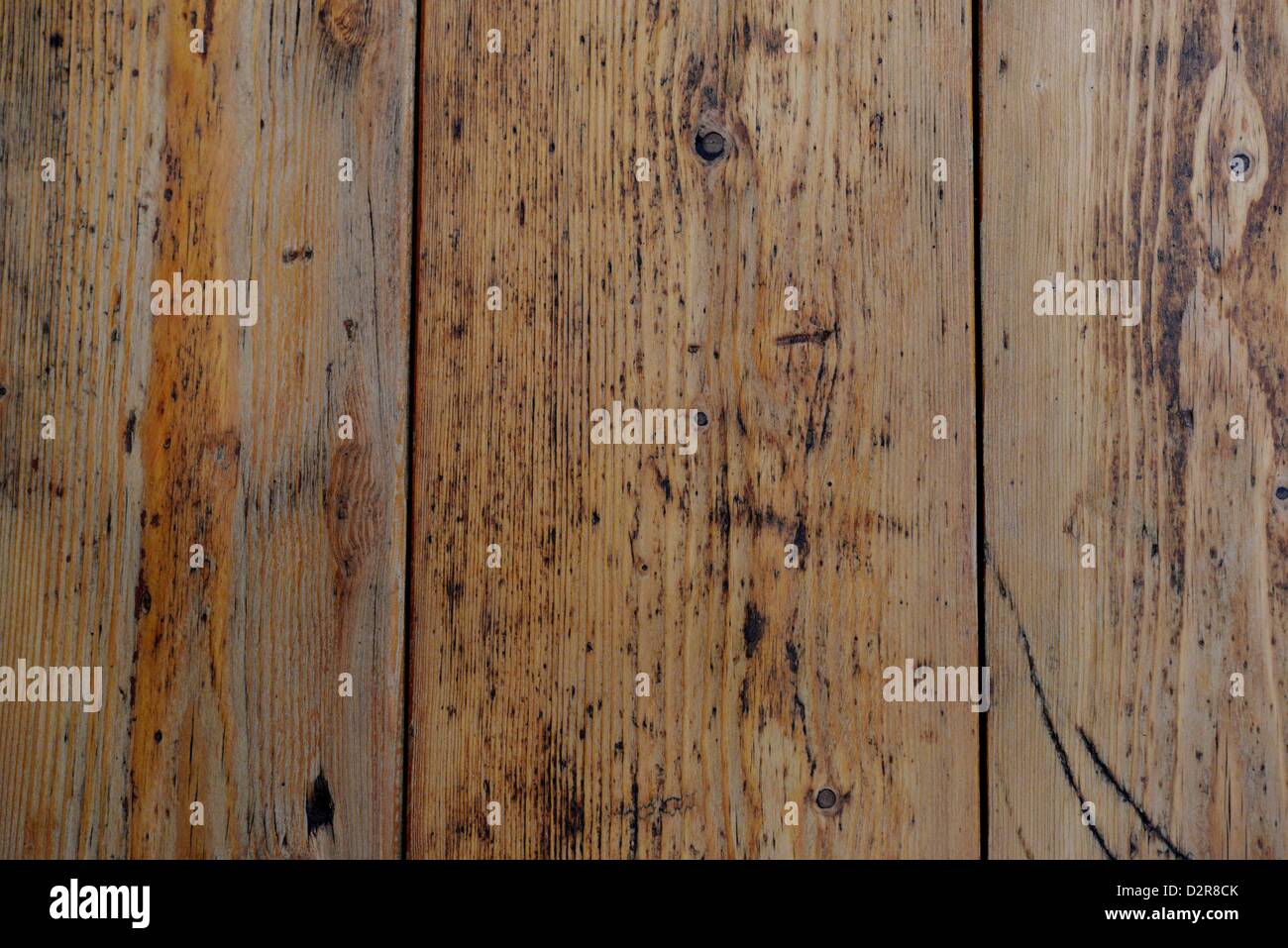 Wood. Photo: Frank May Stock Photo