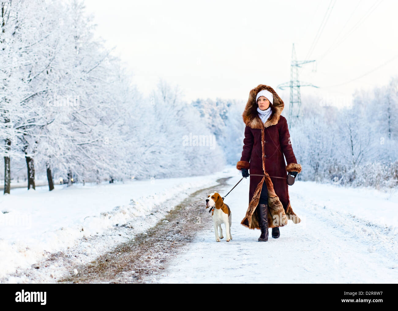 The woman on winter walk with a dog Stock Photo - Alamy