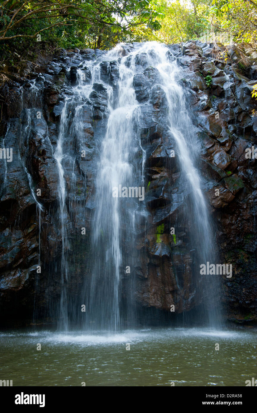 Ellinjaa Falls, Atherton Tablelands, Queensland, Australia, Pacific Stock Photo