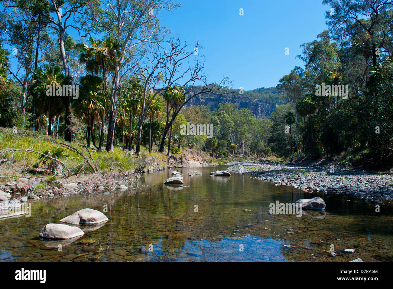 River flowing through the Carnarvon Gorge, Queensland, Australia, Pacific Stock Photo