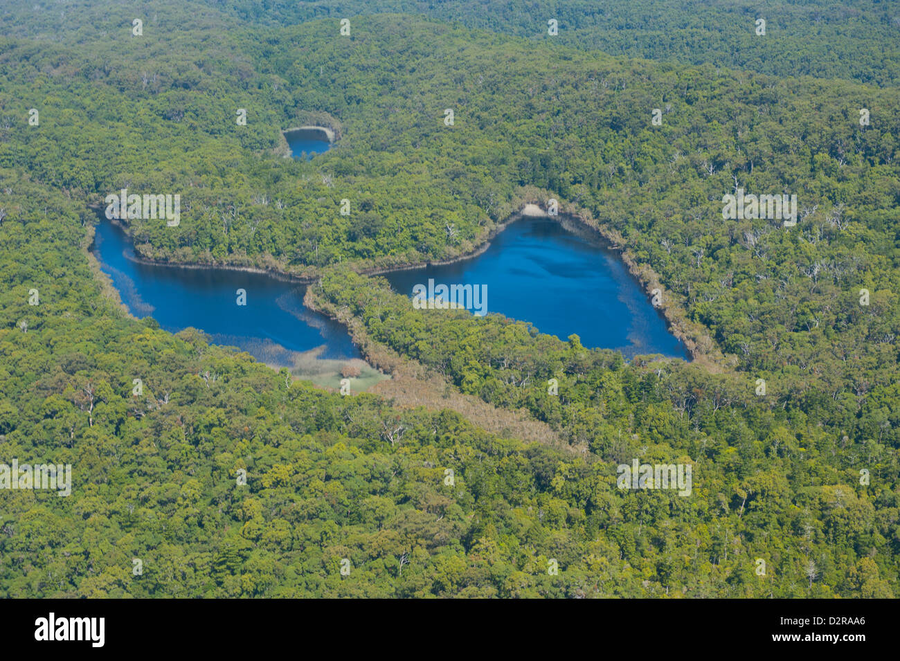 Aerial of the Butterfly Lakes, Fraser Island, UNESCO World Heritage Site, Queensland, Australia, Pacific Stock Photo