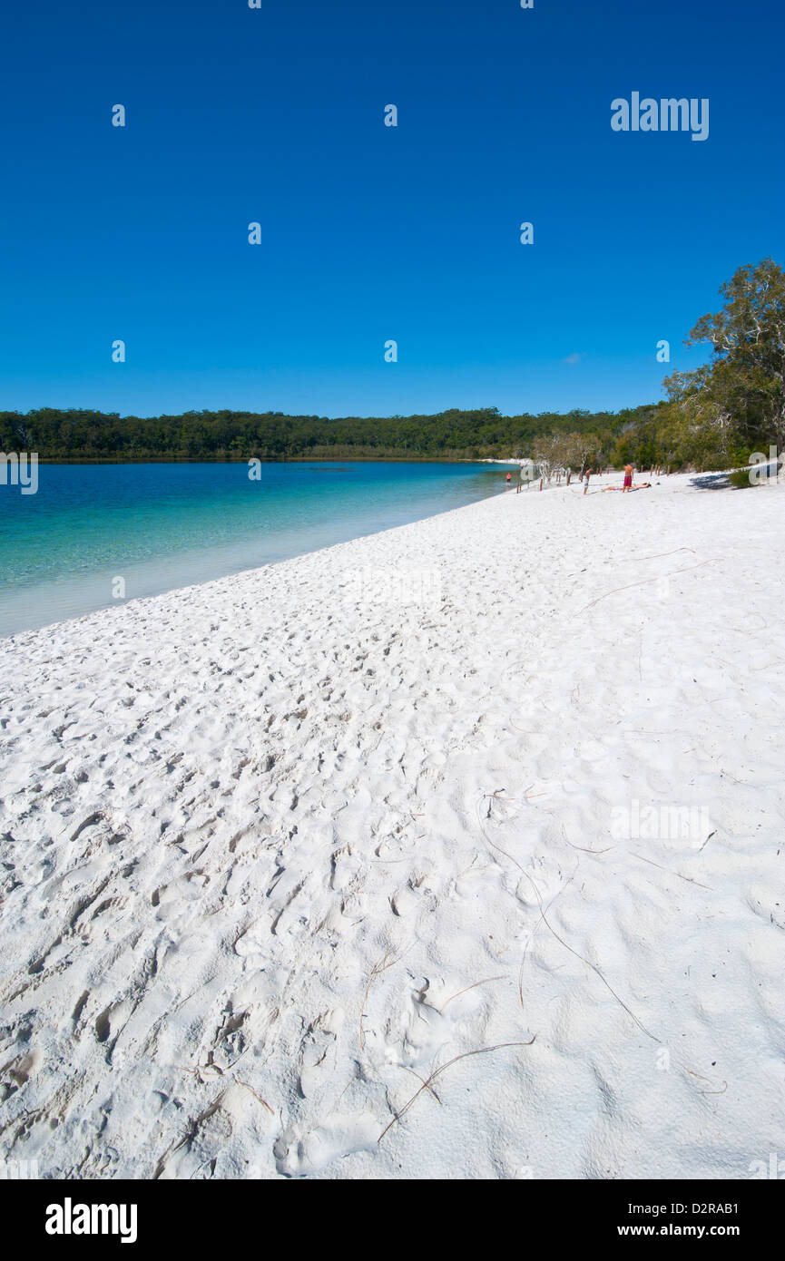 McKenzie Lake, Fraser Island, UNESCO World Heritage Site, Queensland, Australia, Pacific Stock Photo