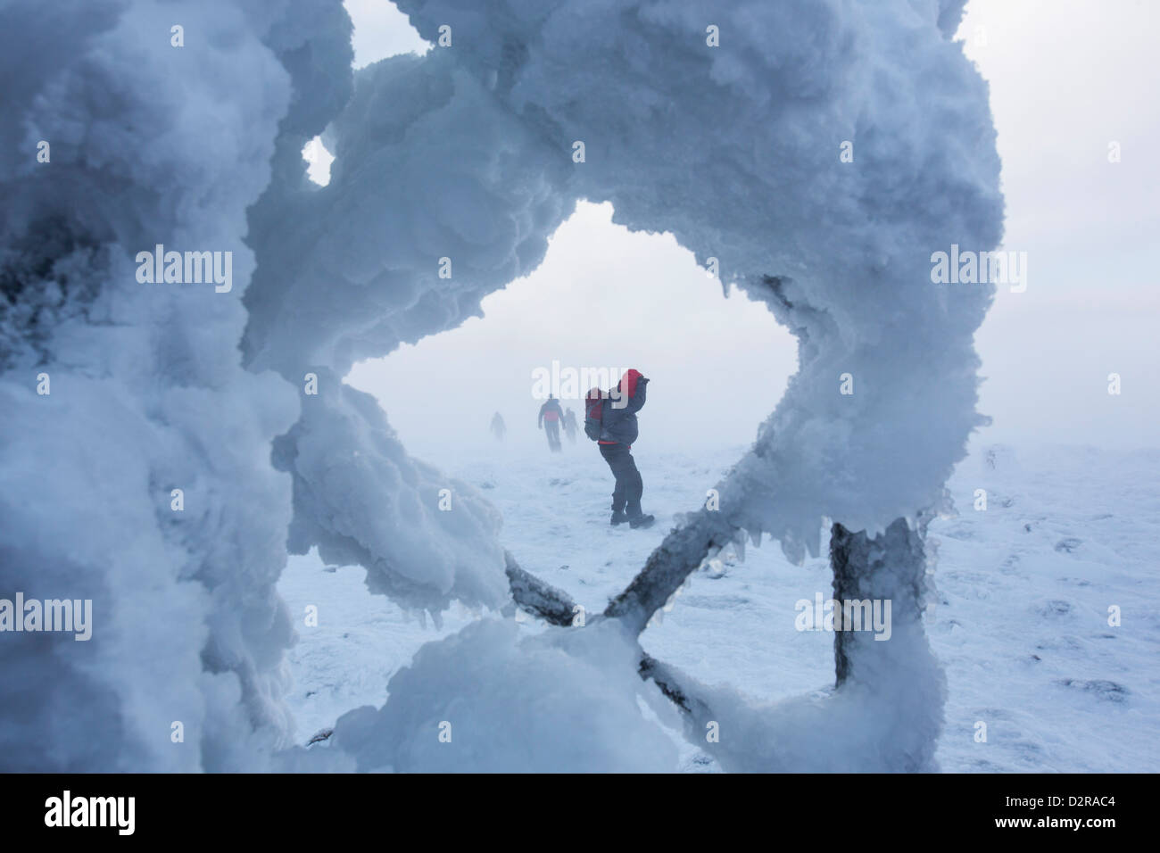 Mountaineers struggle through storm force winds to approach the summit of Cairngorm, seen through rime ice Stock Photo