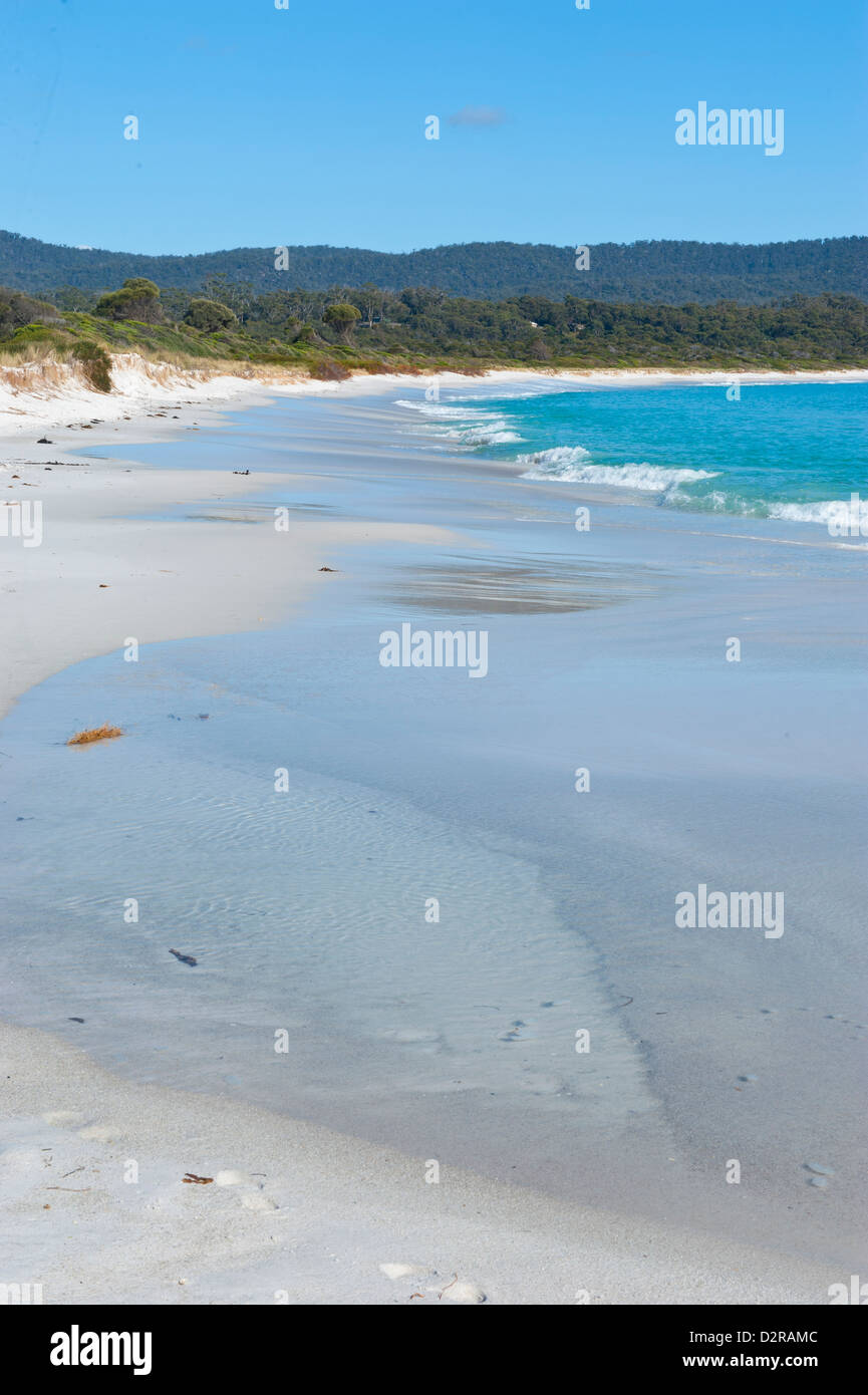 Bay of Fire, voted one of the most beautiful beaches in the world, Tasmania, Australia, Pacific Stock Photo