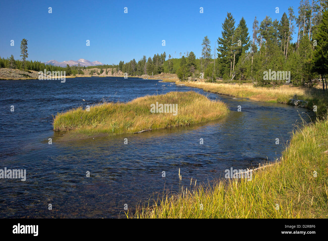 Madison River valley near Madison, Yellowstone National Park, Wyoming, USA Stock Photo