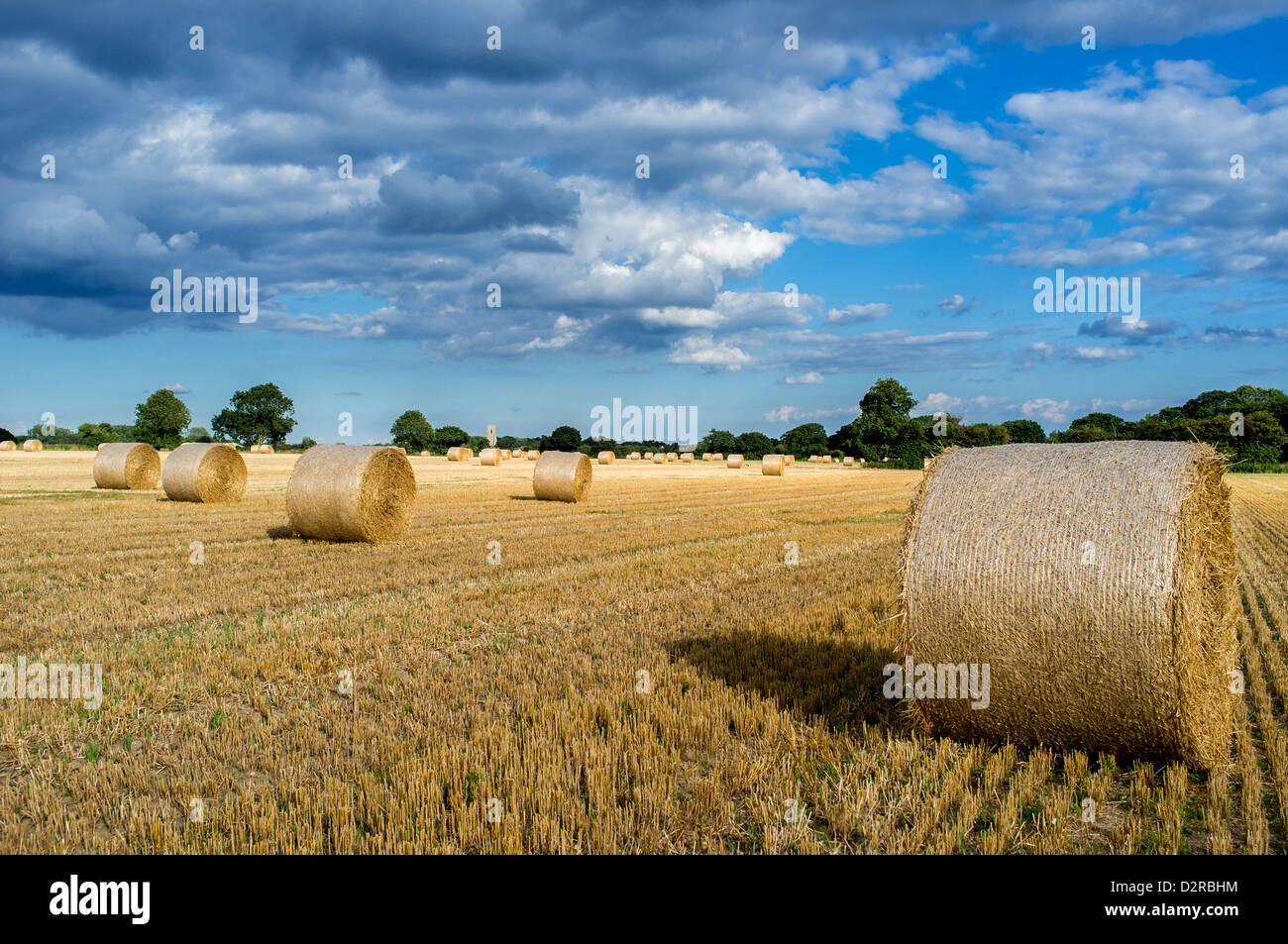 Circular Straw Bales in Field in Hickling Norfolk UK Stock Photo