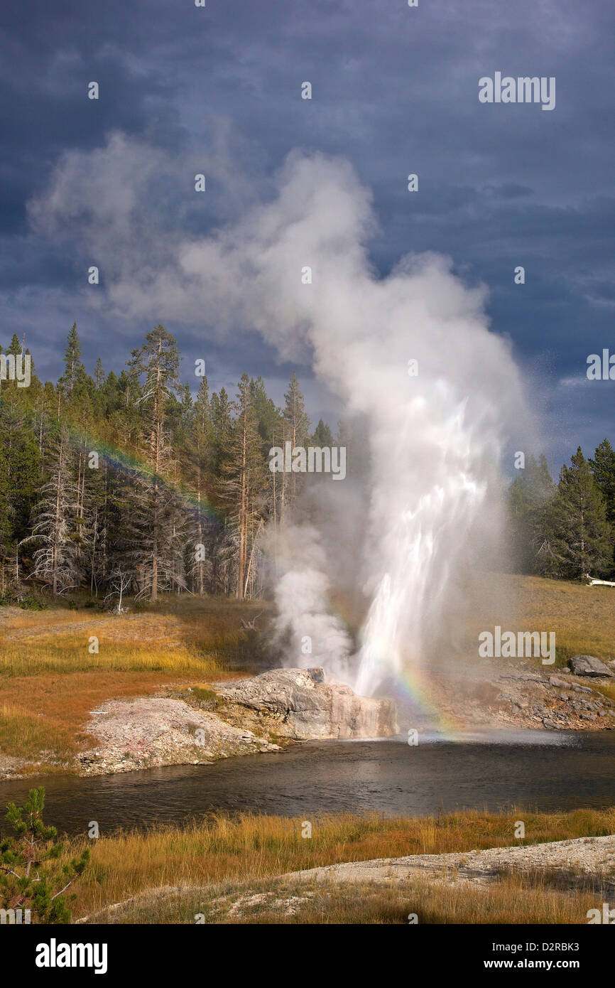 Riverside Geyser, Upper Geyser Basin, Yellowstone National Park
